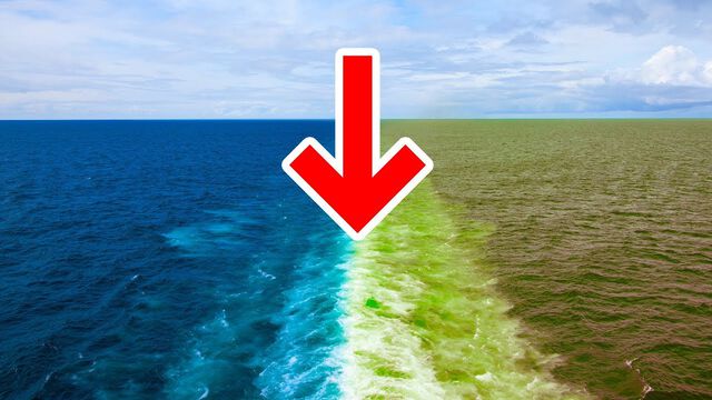 Tại sao nước biển lại 2 màu...