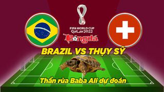 Thần rùa dự đoán 28/11: Brazil...
