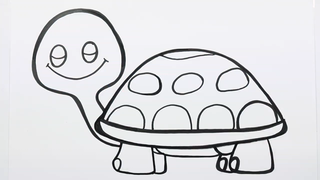 Vẽ chú rùa biển siêu màu...