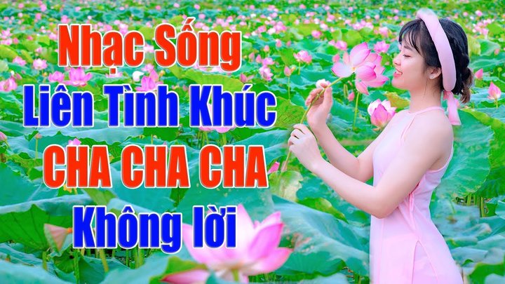 LK Cha Cha Cha Kh ng L i Nghe Ho i Kh ng Ch n H a T u Cha Cha