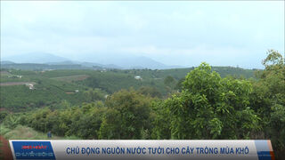Chủ động nguồn nước tưới...