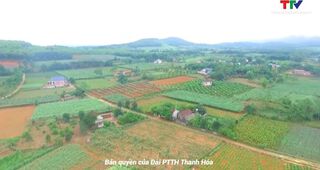 Ngọc Lặc tích tụ ruộng...