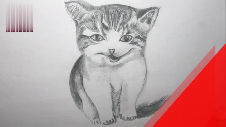 Dạy Vẽ Con Mèo Bằng Bút Chì | Cách Vẽ Con Mèo | Vẽ Con Mèo | Làm Thế Nào Để  Vẽ Một Con Mèo Con | Vẽ Động Vật | Trạng Nguyên Channel Official