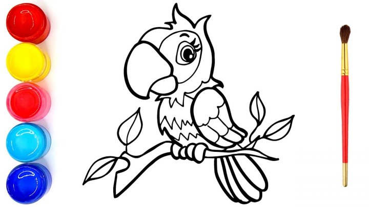 Vẽ Cho Bé Bibi | Vẽ Con Vẹt Và Trang Tô Màu Cho Trẻ Em - How To Draw A  Parrot For Kids