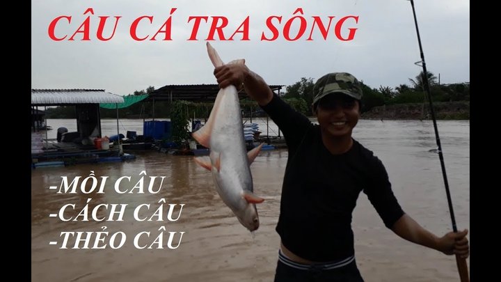 Đi Câu Cá Tra Sông Và Gặp Cao Thủ Vớt Cá | Huynh Khoa Fishing