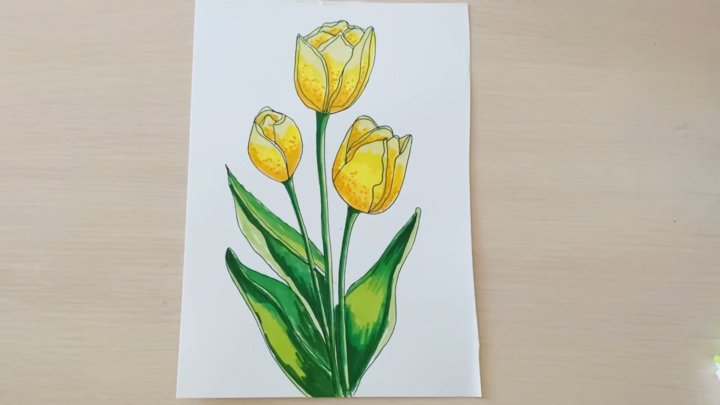 Bông Hoa Tulip Được Vẽ Bằng Màu Nước