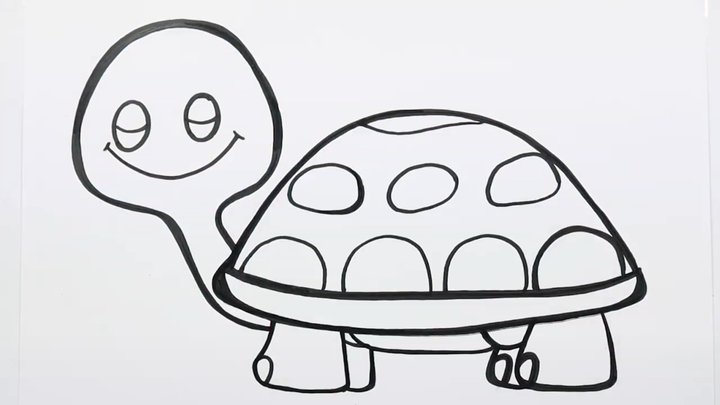 Vẽ Chú Rùa Biển Siêu Màu Sắc - Thích Vẽ.